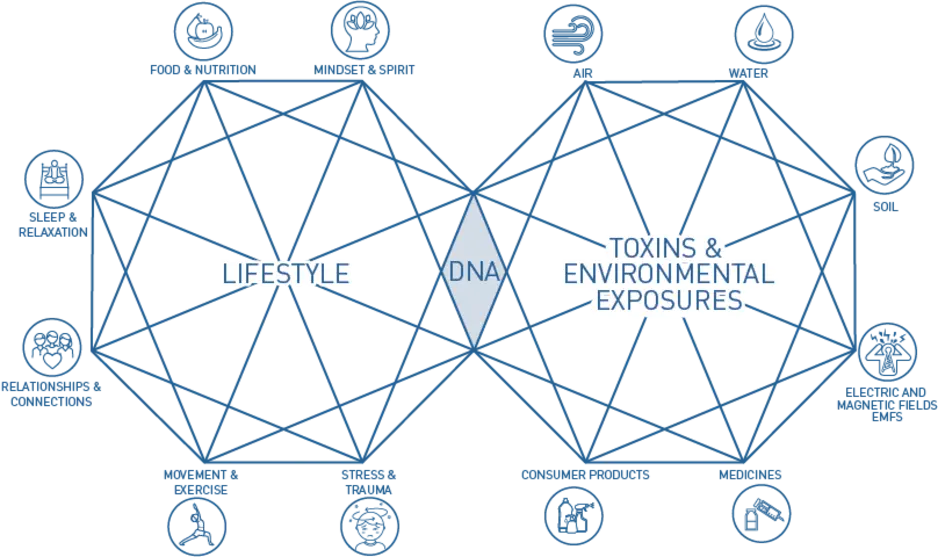 DNA