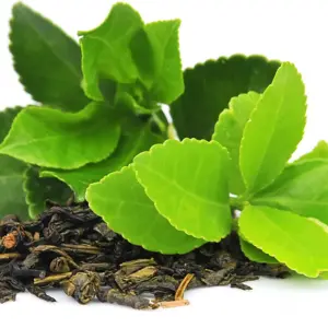Green Tea leaves