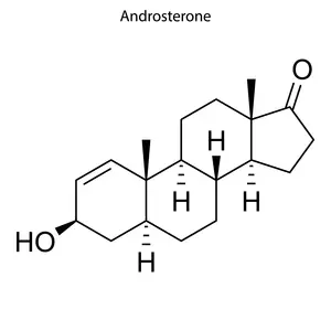 1-Androsterone molecule
