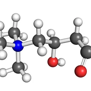 Acetyl-L-Carnitine molecule