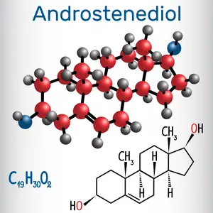 Androstenediol molecule