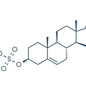 DHEA molecule