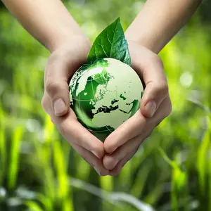 hands holding a green world