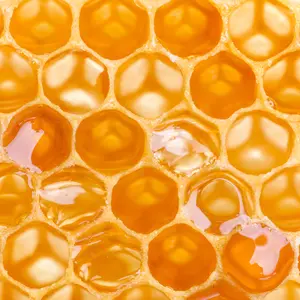 honey filled honeycomb
