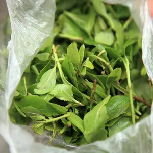 bag of Khat leaves