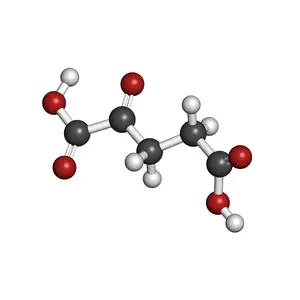 Alpha-Ketoglutarate Molecule