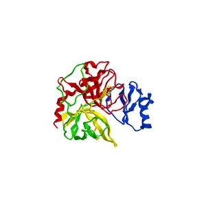 Molecular structure of chymotrypsin