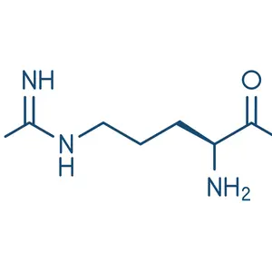 L-Arginine molecule