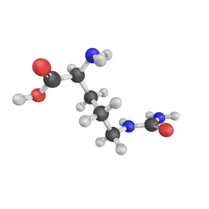 L-Citrulline molecule