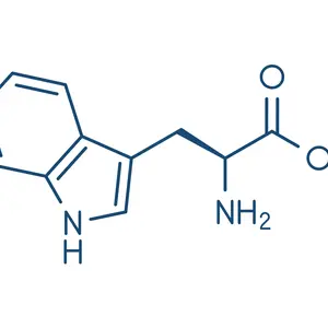L-Tryptophan molecule