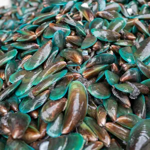 New Zealand Green-Lipped Mussel shellfish