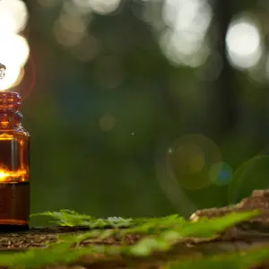 Niauli oil in bottle