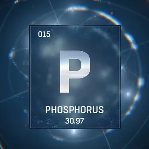 3D illustration of Phosphorus Element 