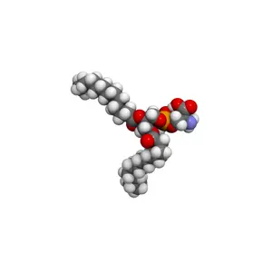 Phosphatidylserine molecule