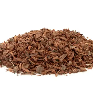 Pygeum dried bark