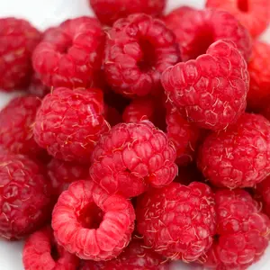raspberries fruit rich in Raspberry Ketone