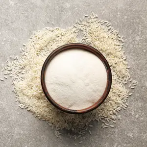 Rice protein powder in bowl and rice grain