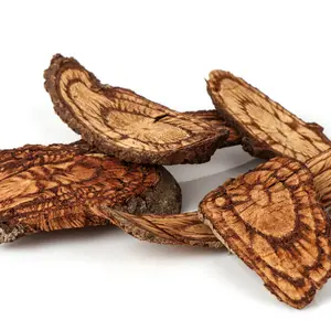 Salacia dried bark