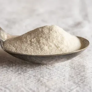 Xanthan Gum powder in spoon