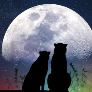 silhouette wolves in front of moon