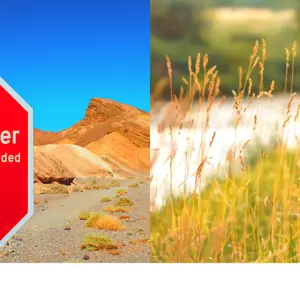 stop sign and girl in summer field