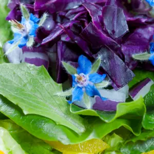 Beautiful Rainbow Salad