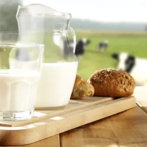 glass of milk and cows