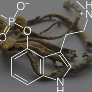 chemical formula of psilocybin on a blackboard Mushroom.