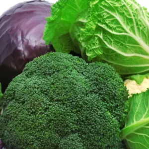 collection cabbages isolated on a white background