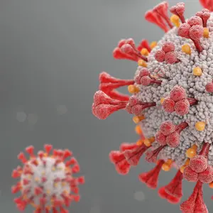 3D rendering Covid-19 virus