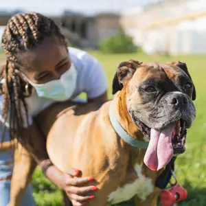 woman with braids and protective mask on her knees on the grass embracing a boxer dog in a sunny day and with a bridge on the background