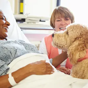 Pet Therapy Dog Visiting Senior Female Patient In Hospital