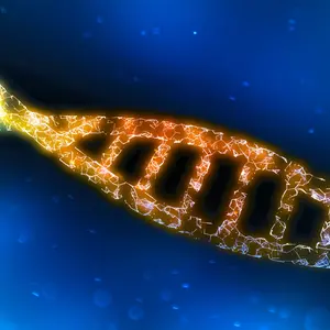 Dna helix, computer analysis and testing.