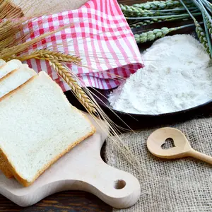 Green and Gold Wheat ears with wheat flour and White bread sliced. 