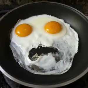 Fried Egg, High Fat Risk 