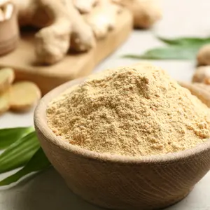 Dry and fresh ginger on light grey table, closeup