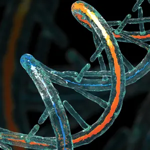 DNA Molecule on Black Background Concept 3D Illustration