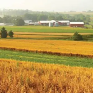 Rodale Webinar Banner