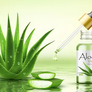 Aloe vera plant with fresh drops and dropper glass bottle.