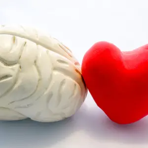 Vagus nerve connection of heart and brain Vagus nerve connection of heart and brain