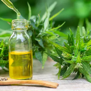 Hemp oil, Medical marijuana products