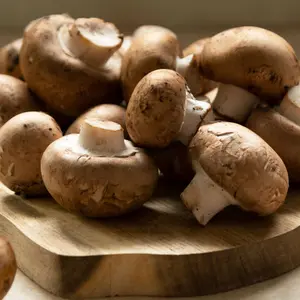 Champignons fresh mushrooms on cutting board