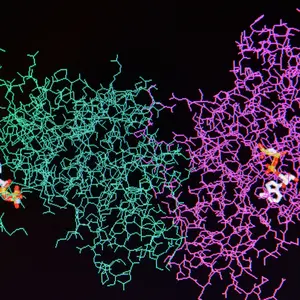 Molecular model of human enzyme on a black background.