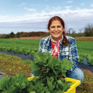 Renerative organic farming