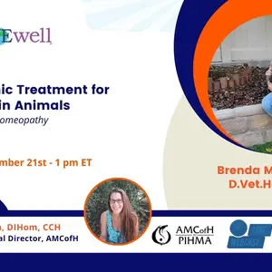 Banner: Homeopathic Treatment for Vaccinosis in Animals: Healing Through Homeopathy