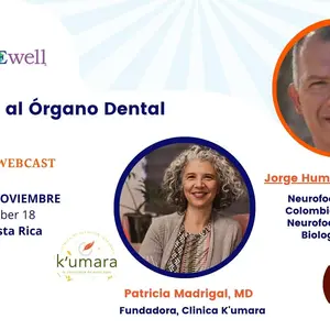 Banner: Del Diente al Órgano Dental