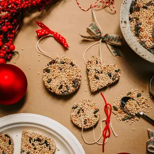 Homemade Birdseed Christmas Ornaments tied with Ribbon