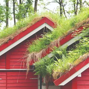 Green roof