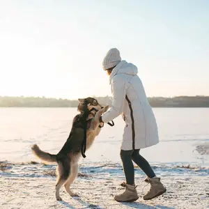 Woman with her dog near frozen lake