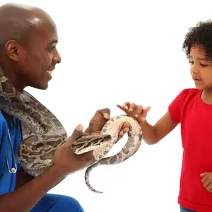 Snakes as a pet